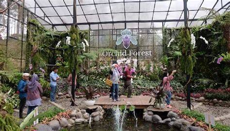 Harga Tiket Orchid Forest Cikole, Jam Buka, Lokasi, dan ... - Tempo - raincitystudios.com