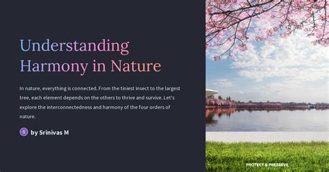 Harmony with nature - balustradellc