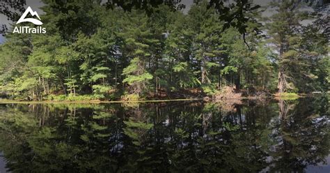 Harold Parker State Forest - Mass.gov - raincitystudios.com
