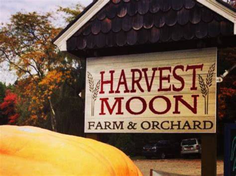 Harvest Moon Farm and Orchard - raincitystudios.com