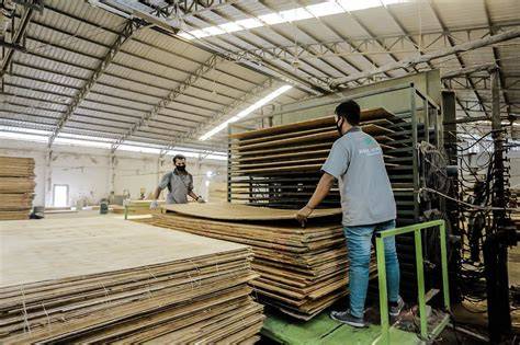 Hasil Albizia Nusantara | Indonesia Plywood Factory - raincitystudios.com
