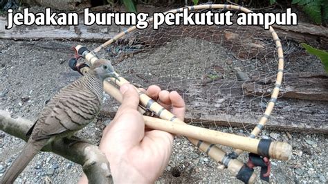 Hasil pencarian untuk 'Jebakan Burung' - Shopee Indonesia - balustradellc
