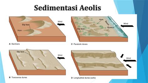 Hasil Sedimentasi Fluvial, Marine, Glasial, Aeolis - wintechmobiles.com