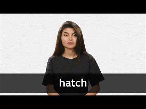 HATCH (noun) American English definition and synonyms