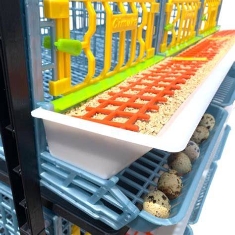 Hatching Time Comfortplast Jumbo Quail Cage - Tractor Supply Co. - raincitystudios.com