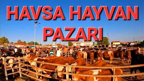 veodersti.rgarabwor.edu.pl. 