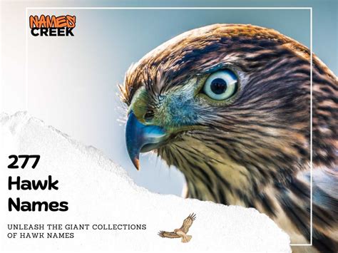 Hawk - Vehicle Technologies - coolestguyplanet.net