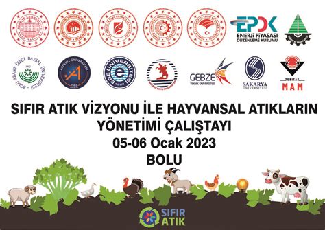 codini.rgarabwor.edu.pl. 