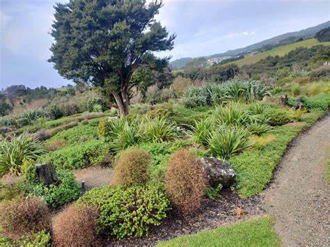 HBRC ET NZ Native Plants - raincitystudios.com