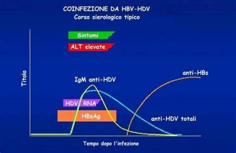 HDV Centro Analisi