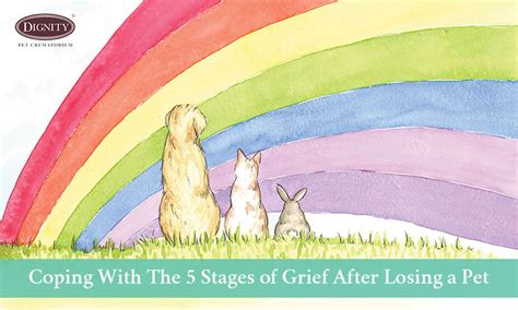 Healing After Pet Loss: How to Mourn with Grace and Dignity - balustradellc
