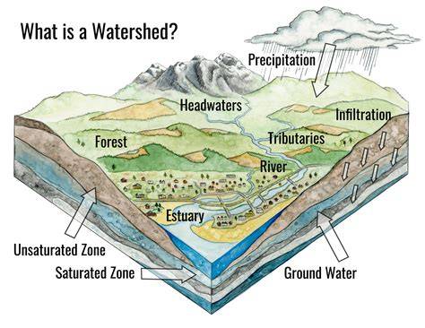 Healthy Watersheds Protection | US EPA - raincitystudios.com