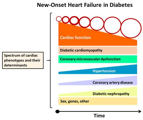 Heart failure and diabetes - Mayo Clinic Healthcare - balustradellc