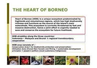 Heart of Borneo (HoB) | WWF - raincitystudios.com