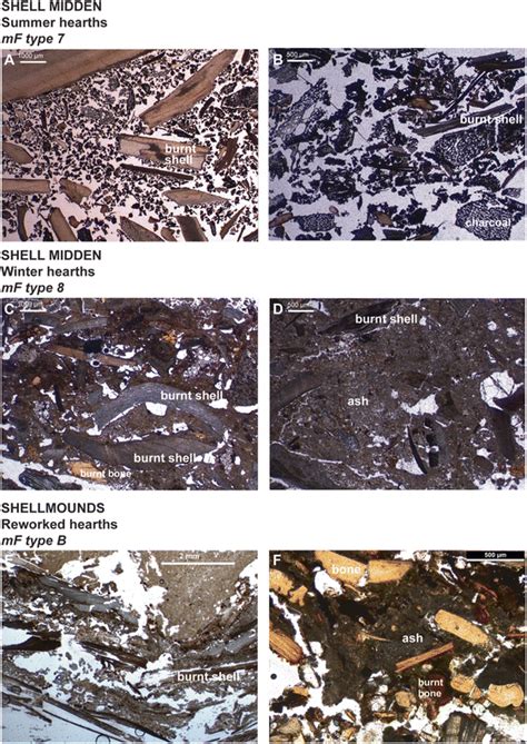 Hearths and Combustion Features | Springer Nature Link - wintechmobiles.com