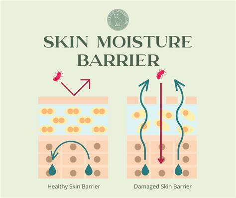 Heat, moisture, and the skin interface - Stryker - raincitystudios.com