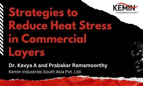 Heat stress in commercial layers - Ontario.ca - raincitystudios.com
