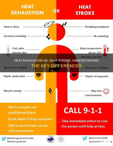 Heat Stroke vs. Heat Exhaustion: Key Differences - balustradellc