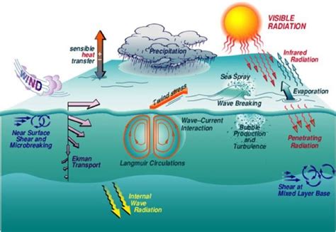 HEAT TRANSFER IN THE ATMOSPHERE and the OCEANS - Adobe …