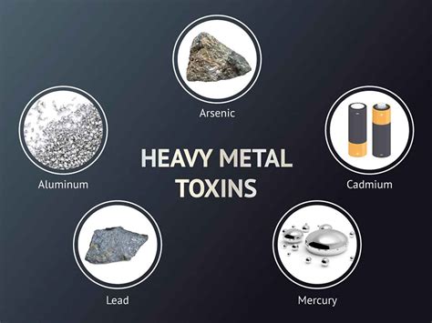 Heavy Metal Poisoning & Toxicity: Symptoms, Causes, and … - wintechmobiles.com