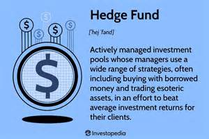 Hedge Fund: Definition, Examples, and Strategies - balustradellc