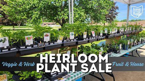 Heirloom plant - raincitystudios.com
