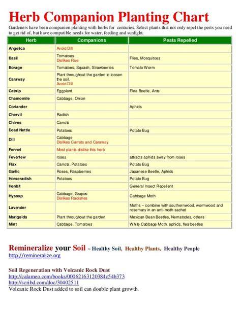 Herb Companion Planting Chart - Companion Planting … - raincitystudios.com