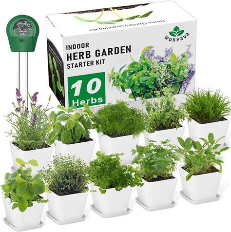 Herb Garden Kit | Container Gardening | EarthBox - raincitystudios.com