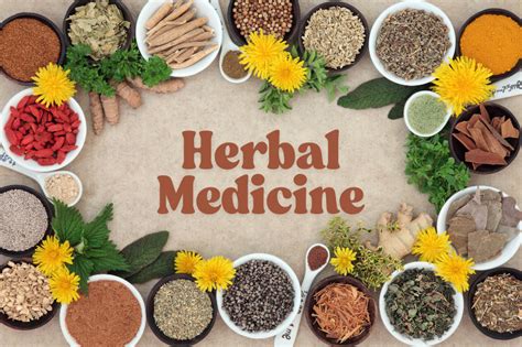 Herbal & Medicinal Plants Compendium Kindle Edition - Amazon - muktibox.com