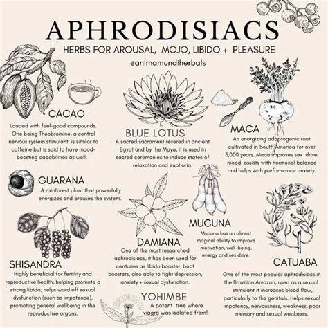 Herbal Aphrodisiacs - How Herbs Can Support Arousal - raincitystudios.com
