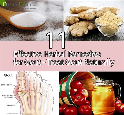 Herbal Teas for Gout: A Natural Remedy to Managing Uric ... - Herbatorium - raincitystudios.com