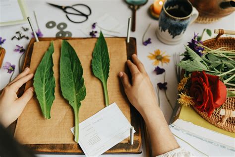 Herbalism Workshops – Herbal Academy - raincitystudios.com