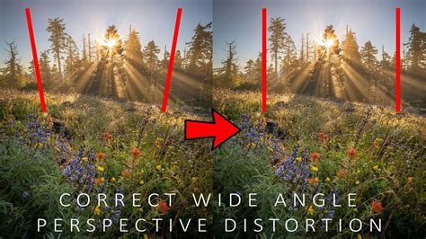 Here's how to correct the distortion caused by Wide Angle and Ultra ... - balustradellc