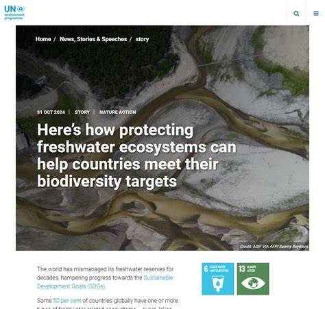 Here’s how protecting freshwater ecosystems can help countries meet ... - raincitystudios.com
