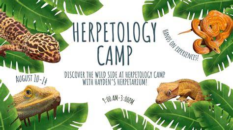 Herpetology Explained - raincitystudios.com