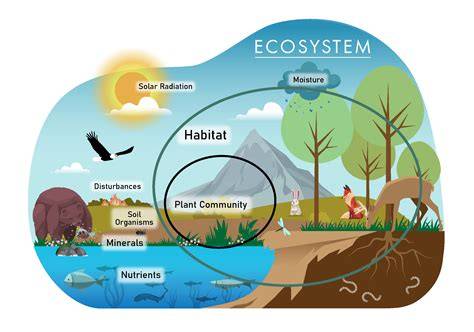 Herps: the heart of the ecosystem | UVM Field … - raincitystudios.com