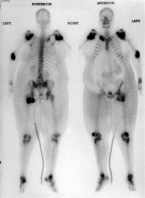 codini.rgarabwor.edu.pl. 