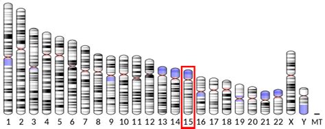 HEXA - Wikipedia