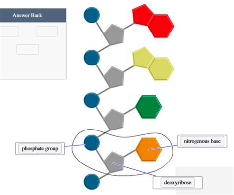 HG Final Flashcards | Quizlet - wintechmobiles.com