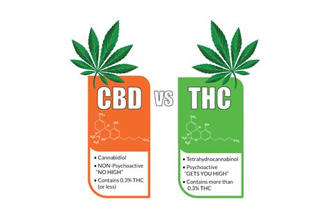 HHC vs. THC: Differences, Uses, and Top Products
