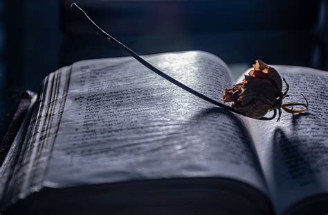 Hidden Historical Tales - balustradellc