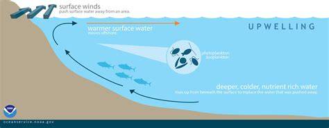 Hidden Upwelling Systems Associated With Major … - raincitystudios.com