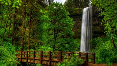 Hidden Waterfall in the Green Nature Forest. Waterfalls Landscape ... - balustradellc