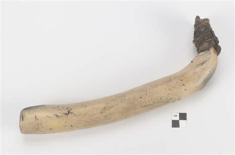 Hide Scraper - eBay - wintechmobiles.com