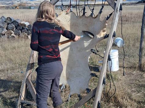 Hide Tanning: Making Buckskin from Deer Hide - Wild Earth - balustradellc