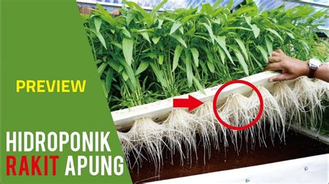 Hidroponik sistem rakit apung | Made Saputra Saputra - raincitystudios.com