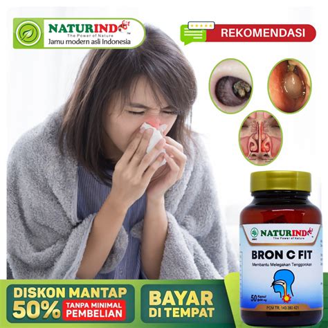 Hidung Meler Obat Flu Paling Ampuh - balustradellc