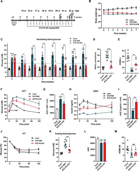 HIF1α inhibition preserves β-cell function - Nature