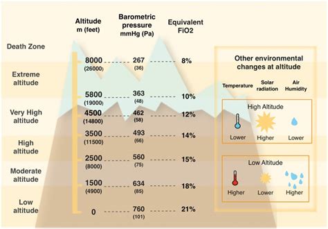 High Altitude Exposure Among People With Cardiovascular Conditions - balustradellc