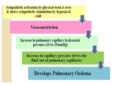 High altitude pulmonary edema in mountain climbers. - balustradellc